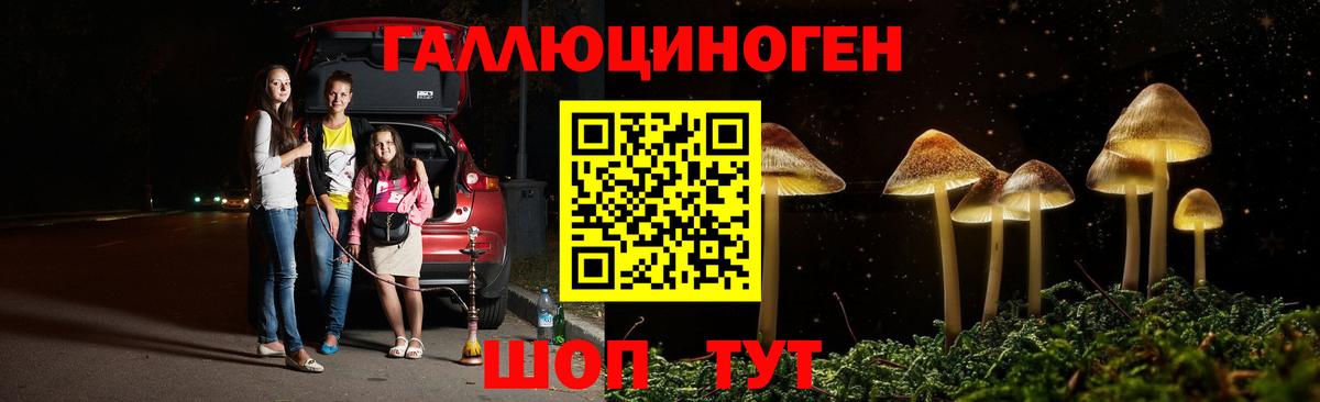 Камышлов  Галлюциногенные грибы Cubensis  Вход с VPN 